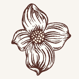 Dogwood Flower