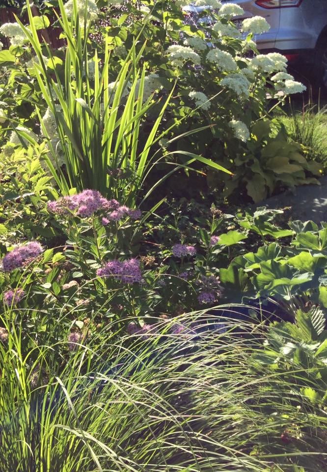 САДИК НА ЛАДОШКЕ 2016