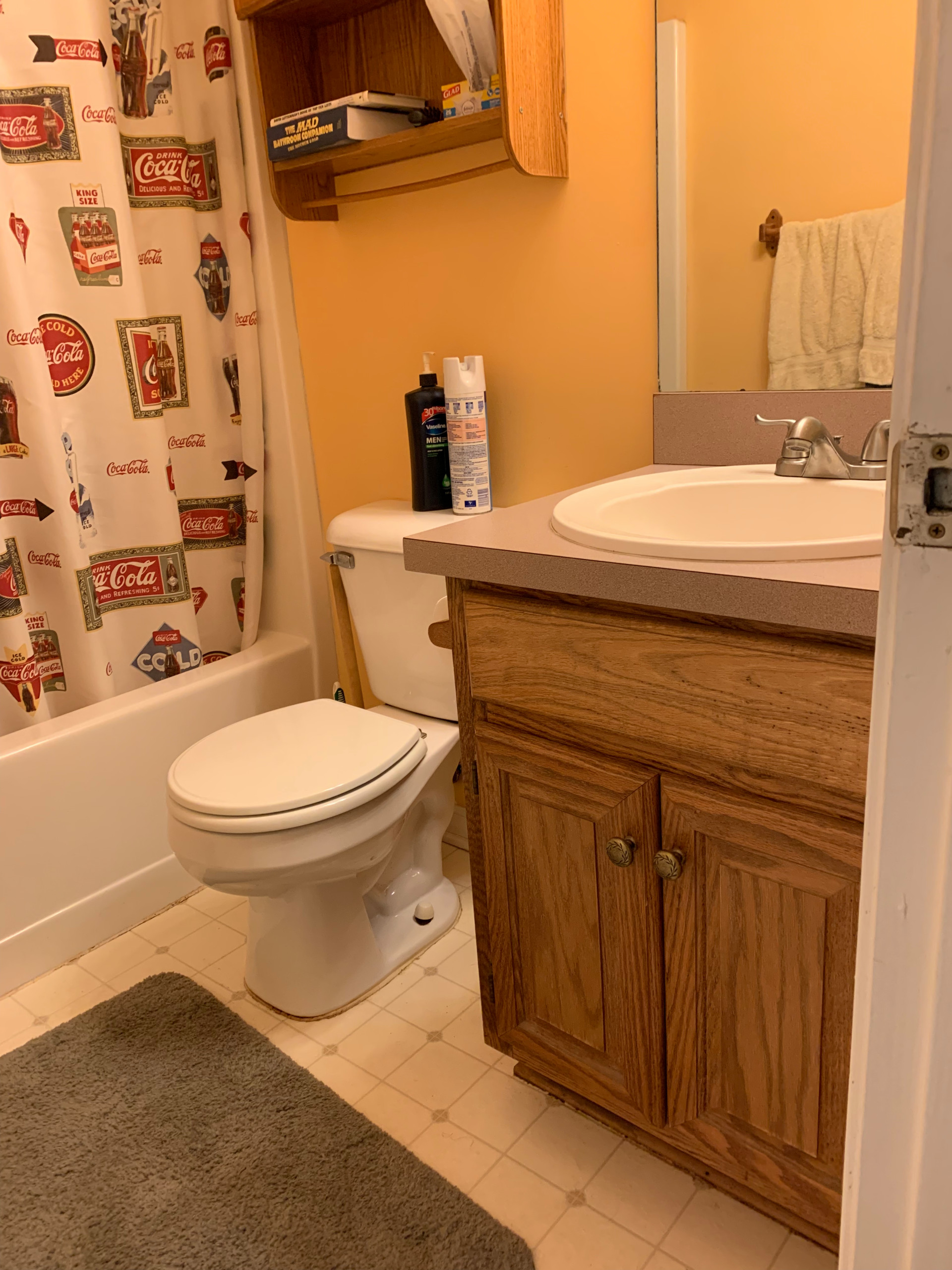 Hoschton Fireplace, Master and Guest Bath Remodel