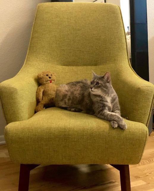 Hilary Chair New York by Brooklyn City Furniture Houzz UK