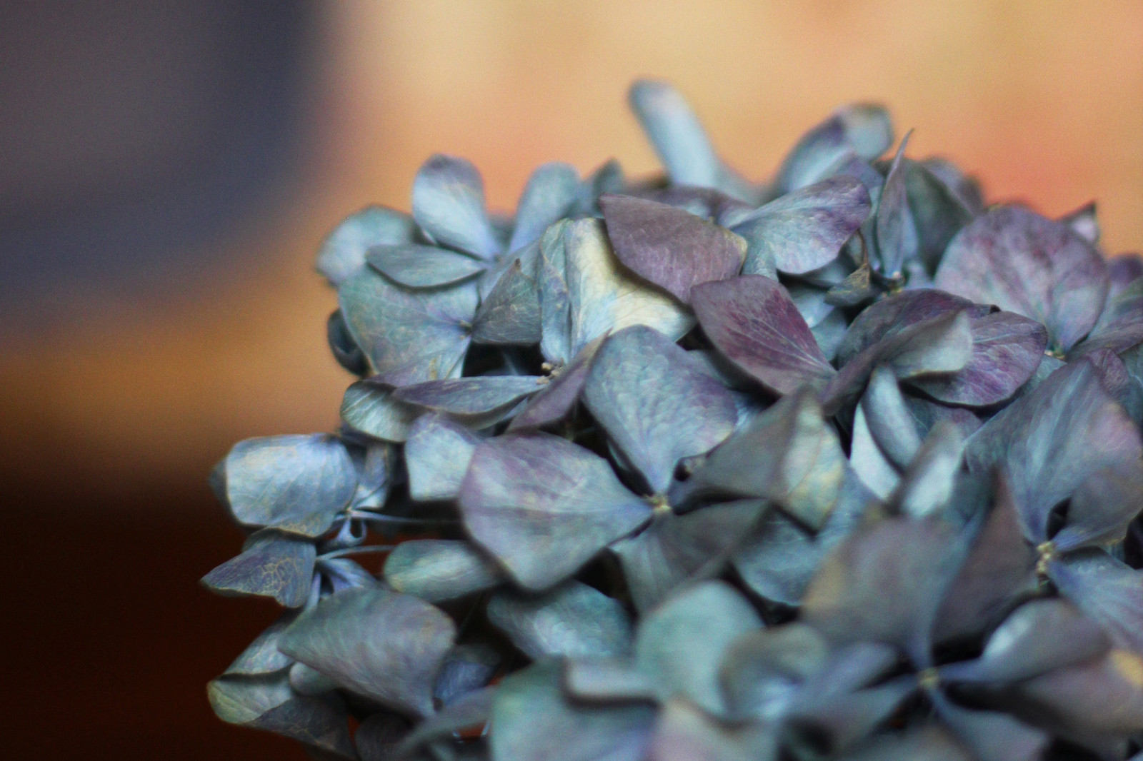 Квартира в Воронеже