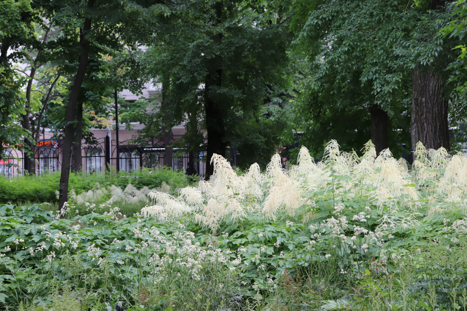 Парк Орленок