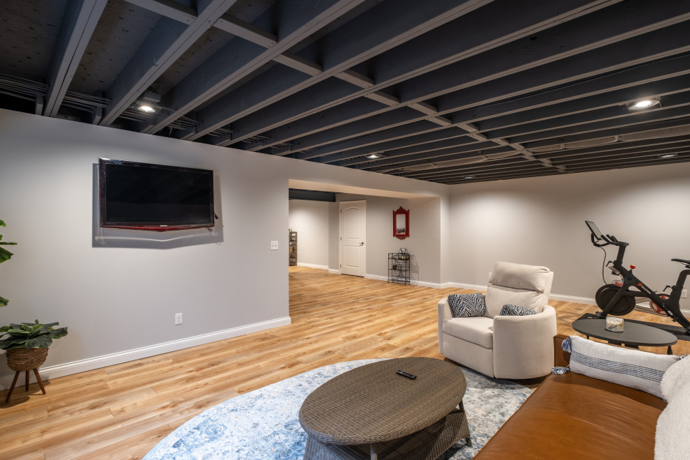 Contemporary fully buried basement in Other with grey walls, vinyl floors and exposed beam.