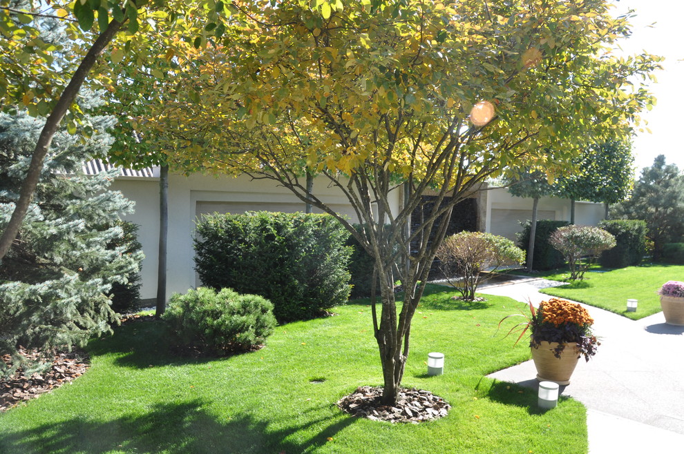 Private modern garden / Частный современный сад.