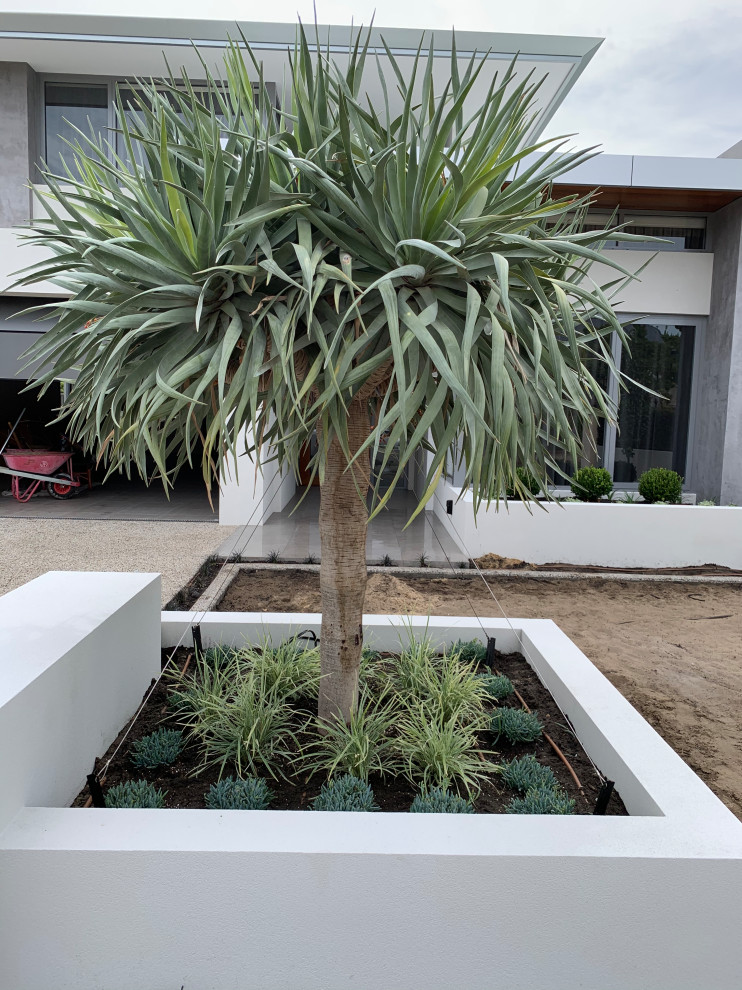 Photo of a large contemporary front yard xeriscape in Perth with with raised garden bed.
