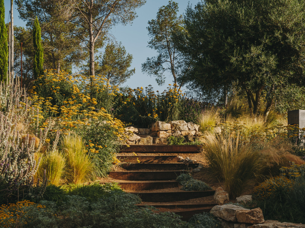 Diseño de camino de jardín de secano mediterráneo grande en verano con exposición total al sol y granito descompuesto
