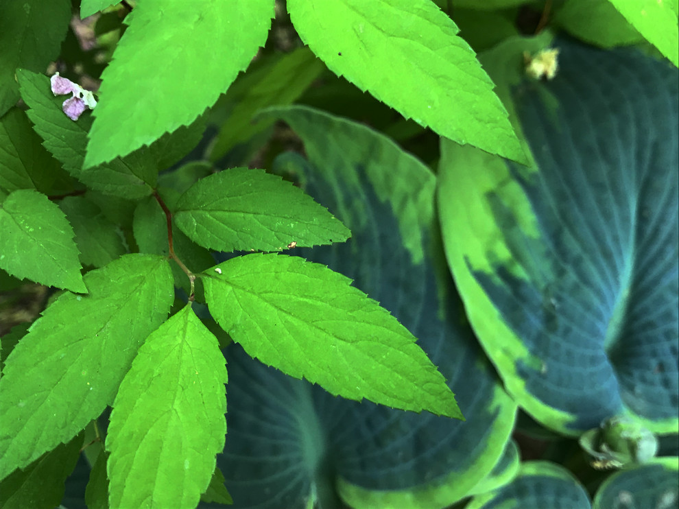 КП Княжье Озеро, 0,16 га