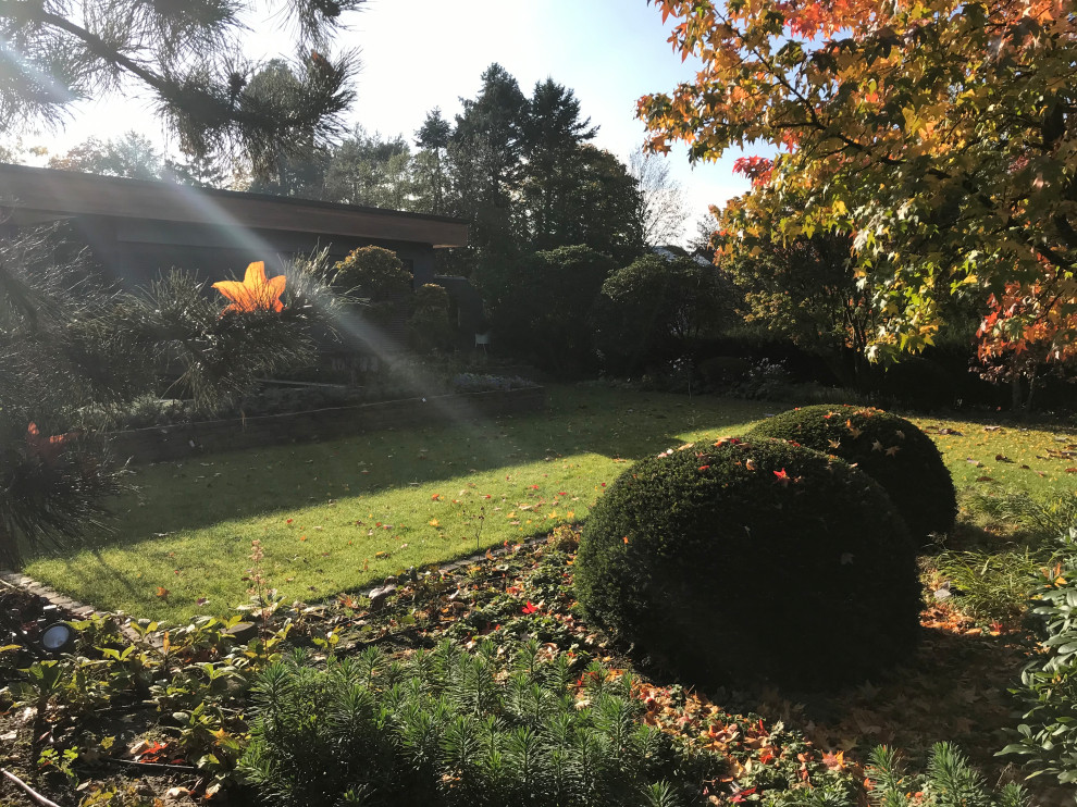 Moderner Garten in Dortmund