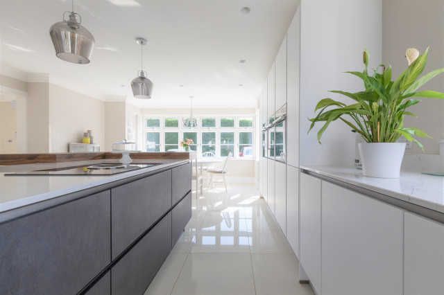 Concrete Slate and Alpine White modern-kitchen