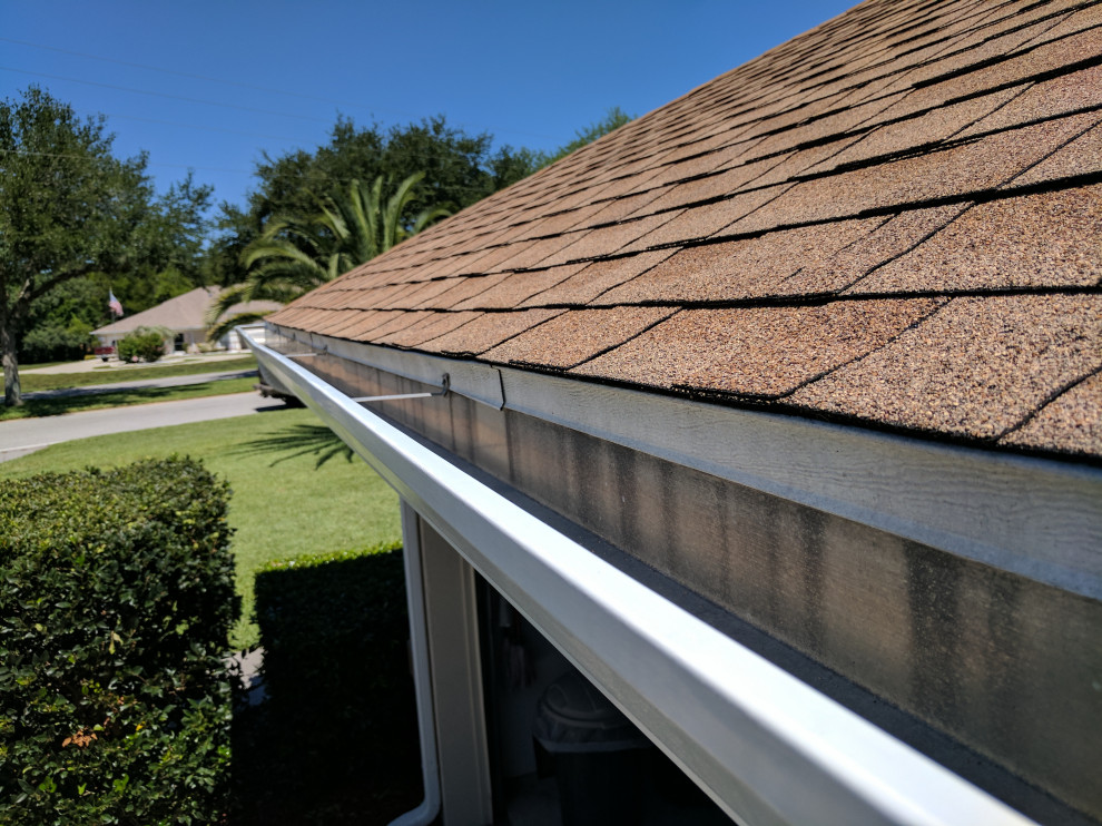 Shingle Roof