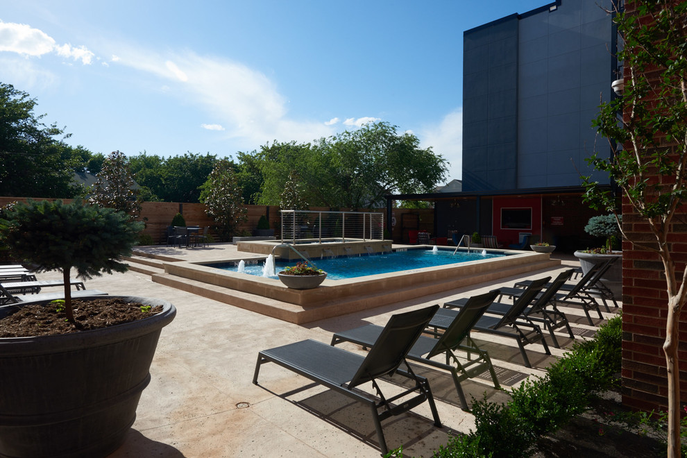 Example of a transitional pool design in Dallas