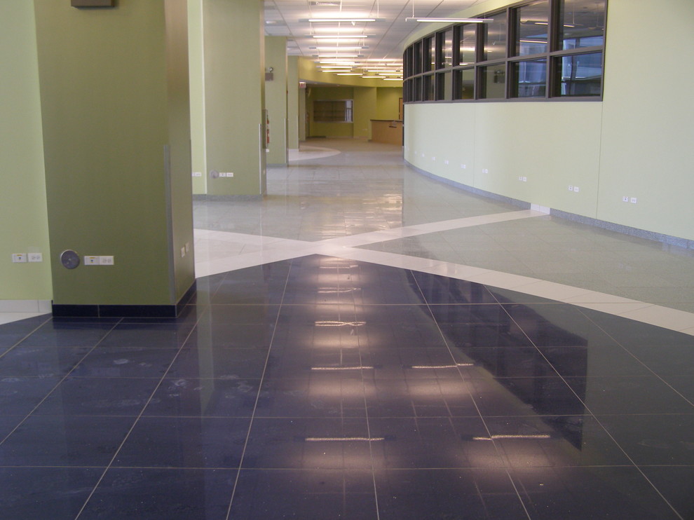 Inspiration for a transitional home design remodel in Chicago