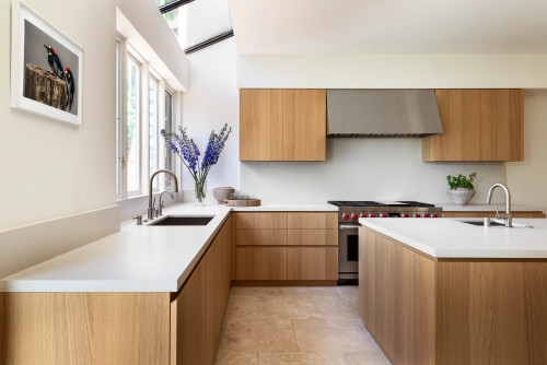 Transitional kitchen cabinet style blending modern and classic elements