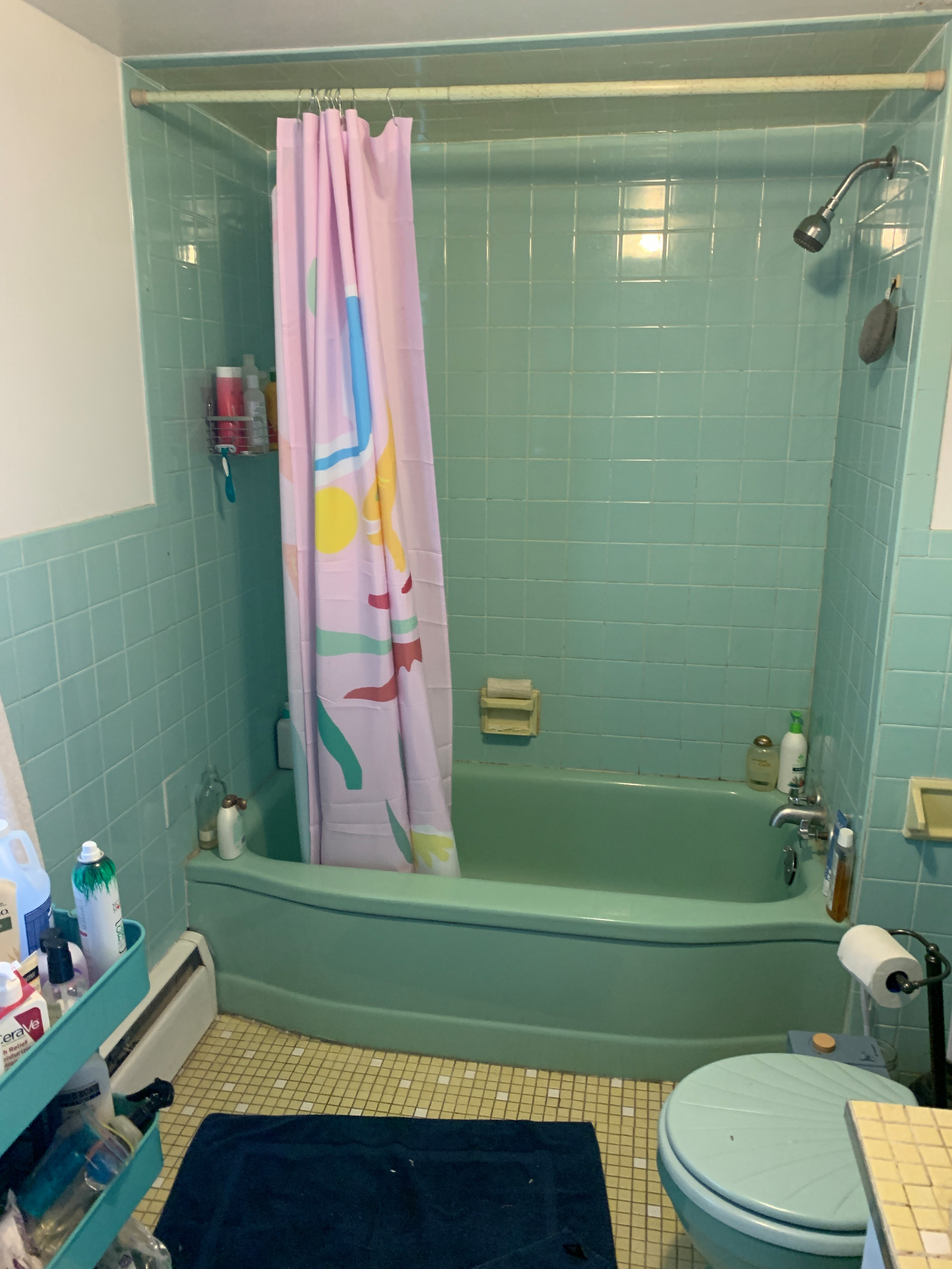 Bathroom Reno 441