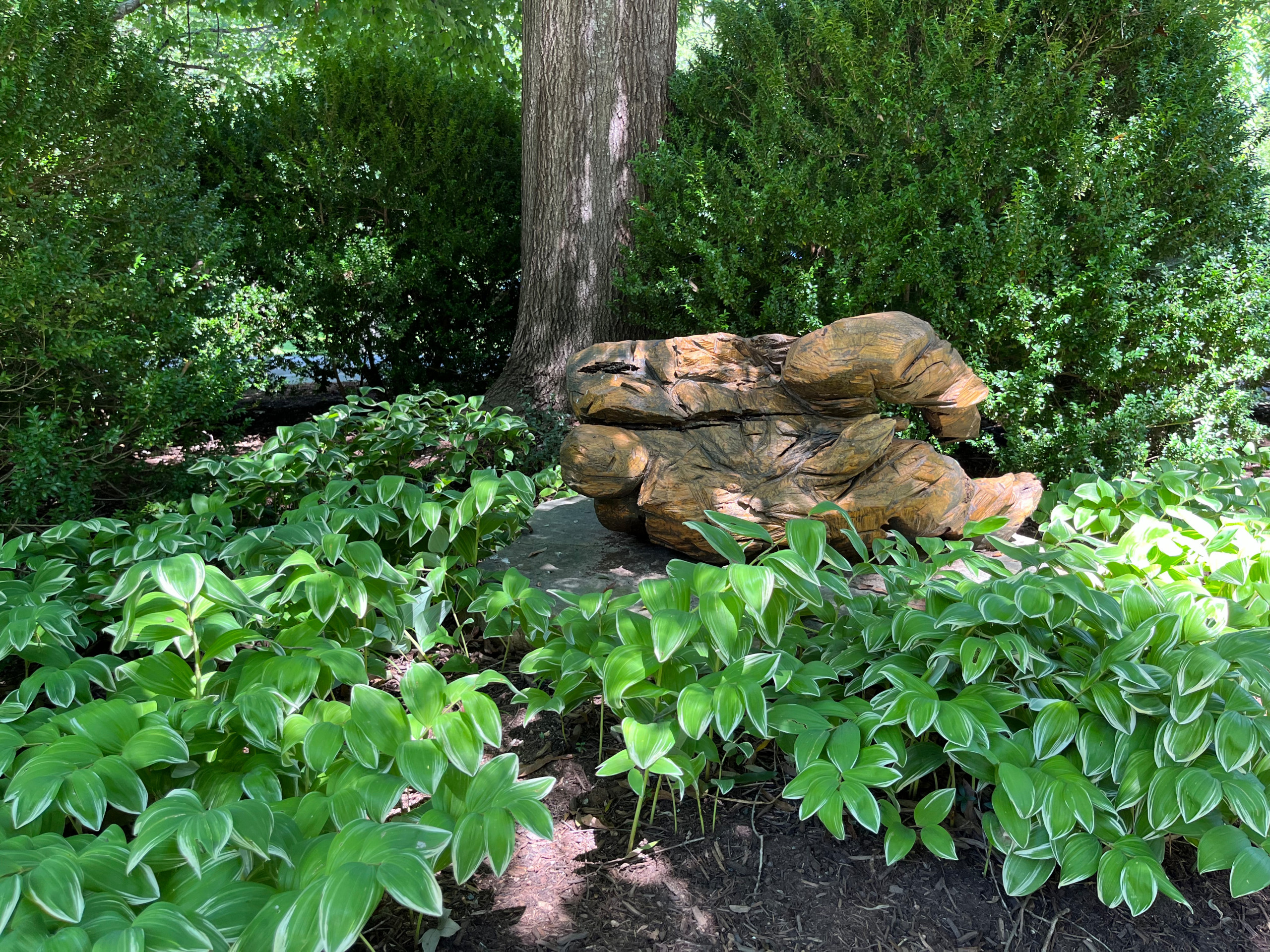 sculpture and solomon's seal