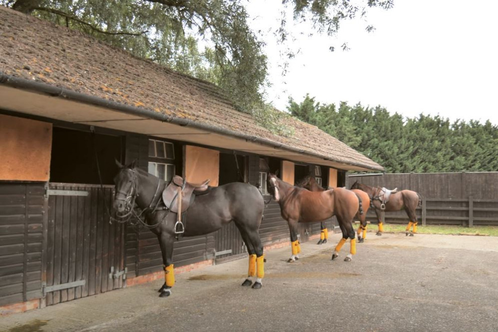 Berkshire Estate