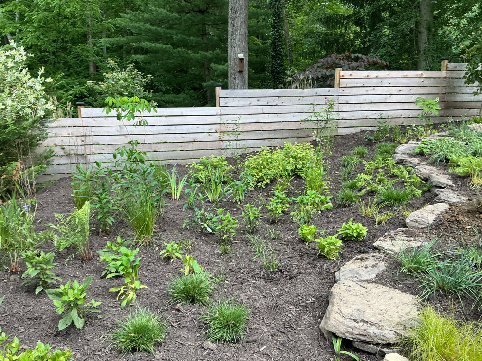 Conservation and rain gardens landscape