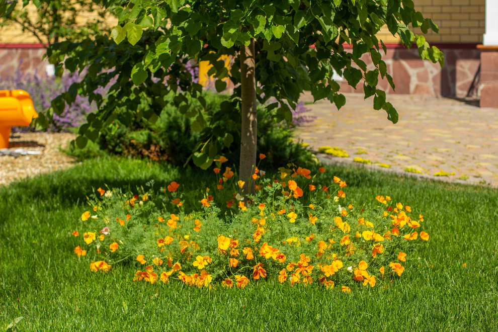 Сад с зеленой крышей