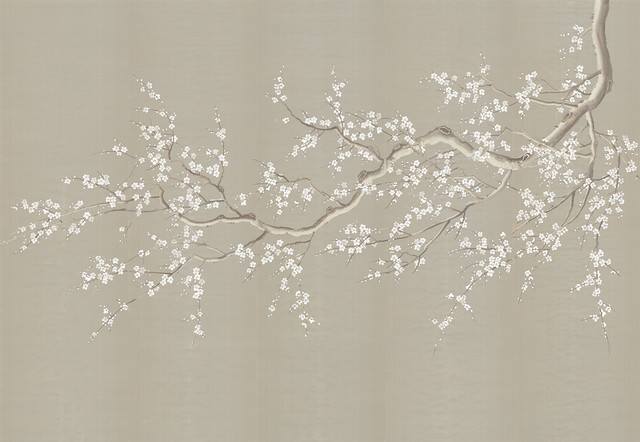 Chinoiserie Wall Mural Cherry Blossoms - Asian - Wallpaper 