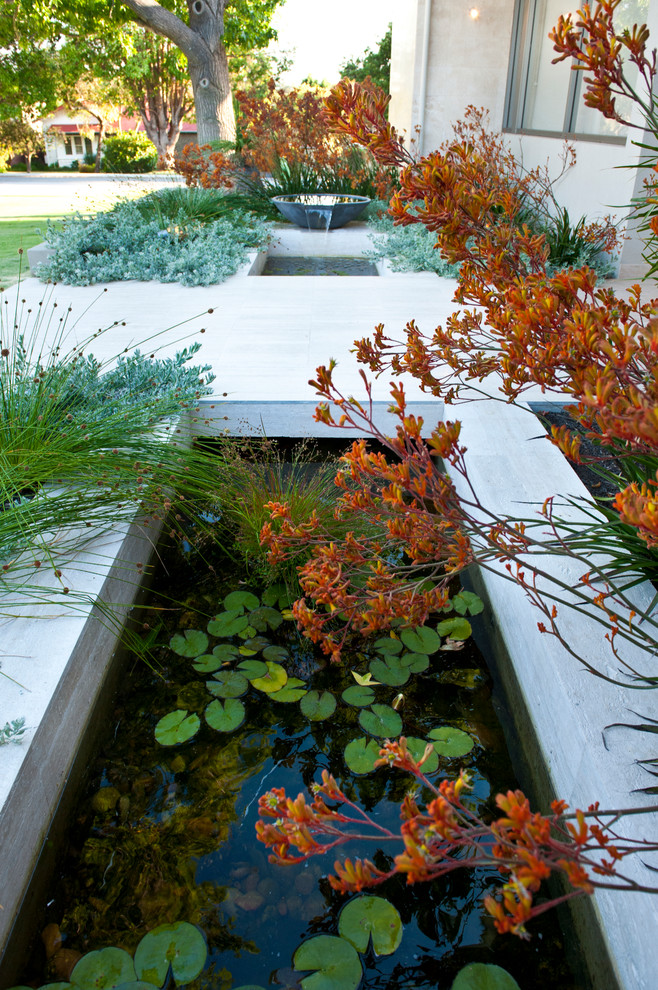 Mid-sized and australian native contemporary front yard garden in Perth with a water feature.
