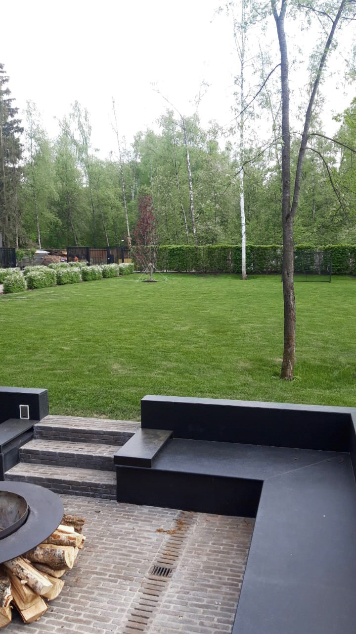 Modern front yard