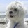 judy_belinsky
