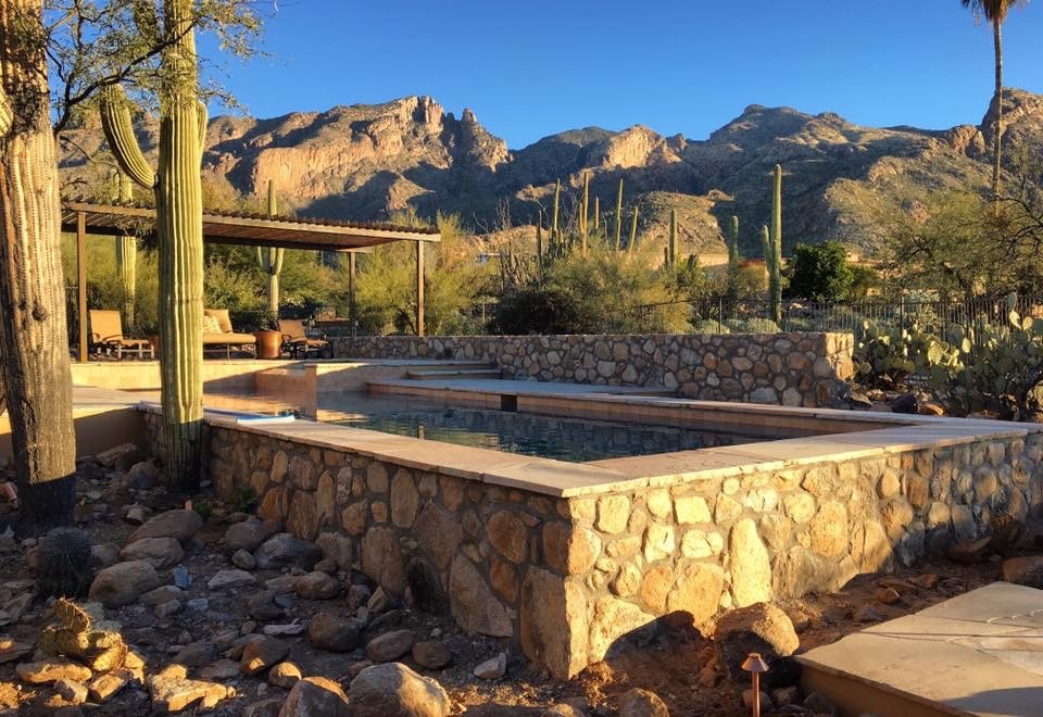 Example of a transitional pool design in Phoenix