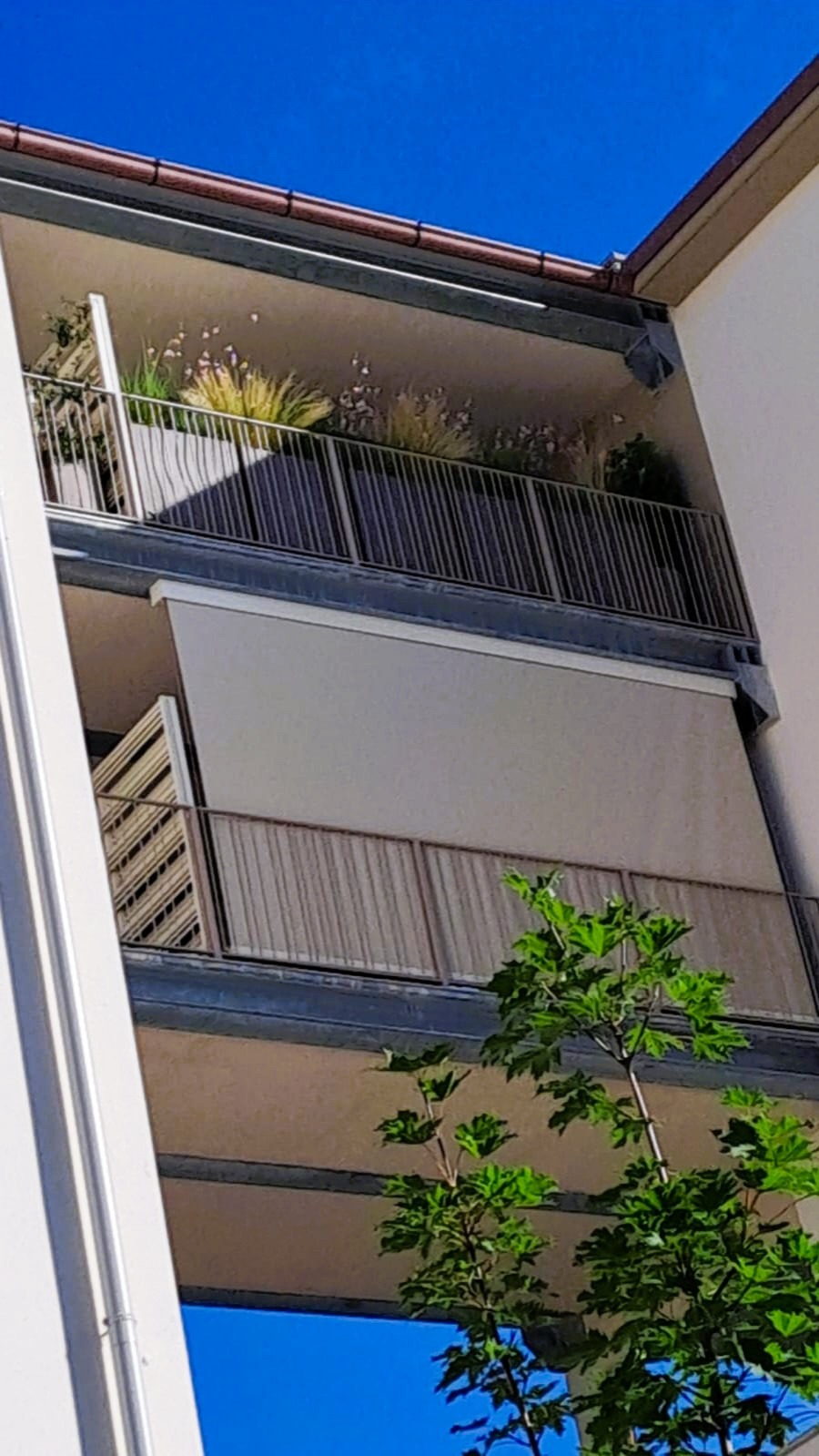 Realizzazione fioriere e vasi per un terrazzo sempreverde (o quasi)