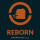 REBORN PROPERTIES LLC