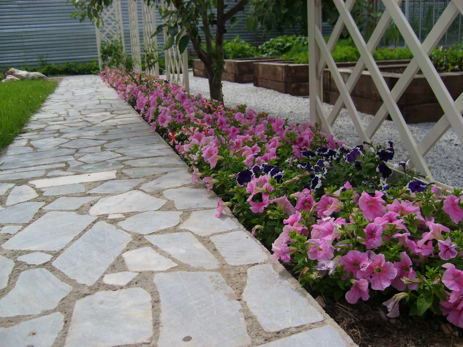 Декоративный огород - красиво и практично.