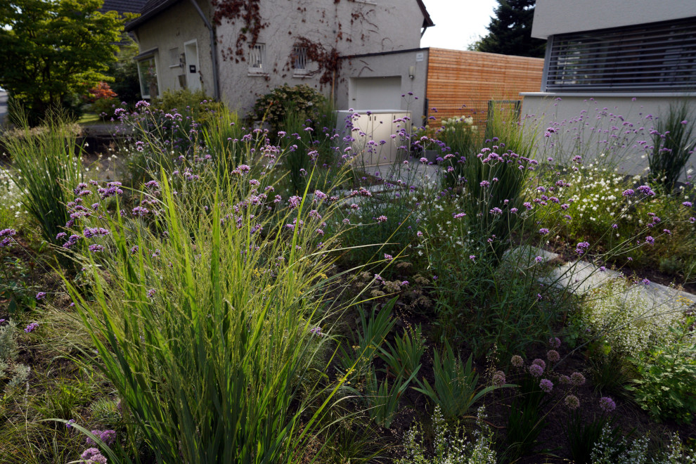 Immagine di un piccolo giardino xeriscape contemporaneo esposto in pieno sole davanti casa in estate