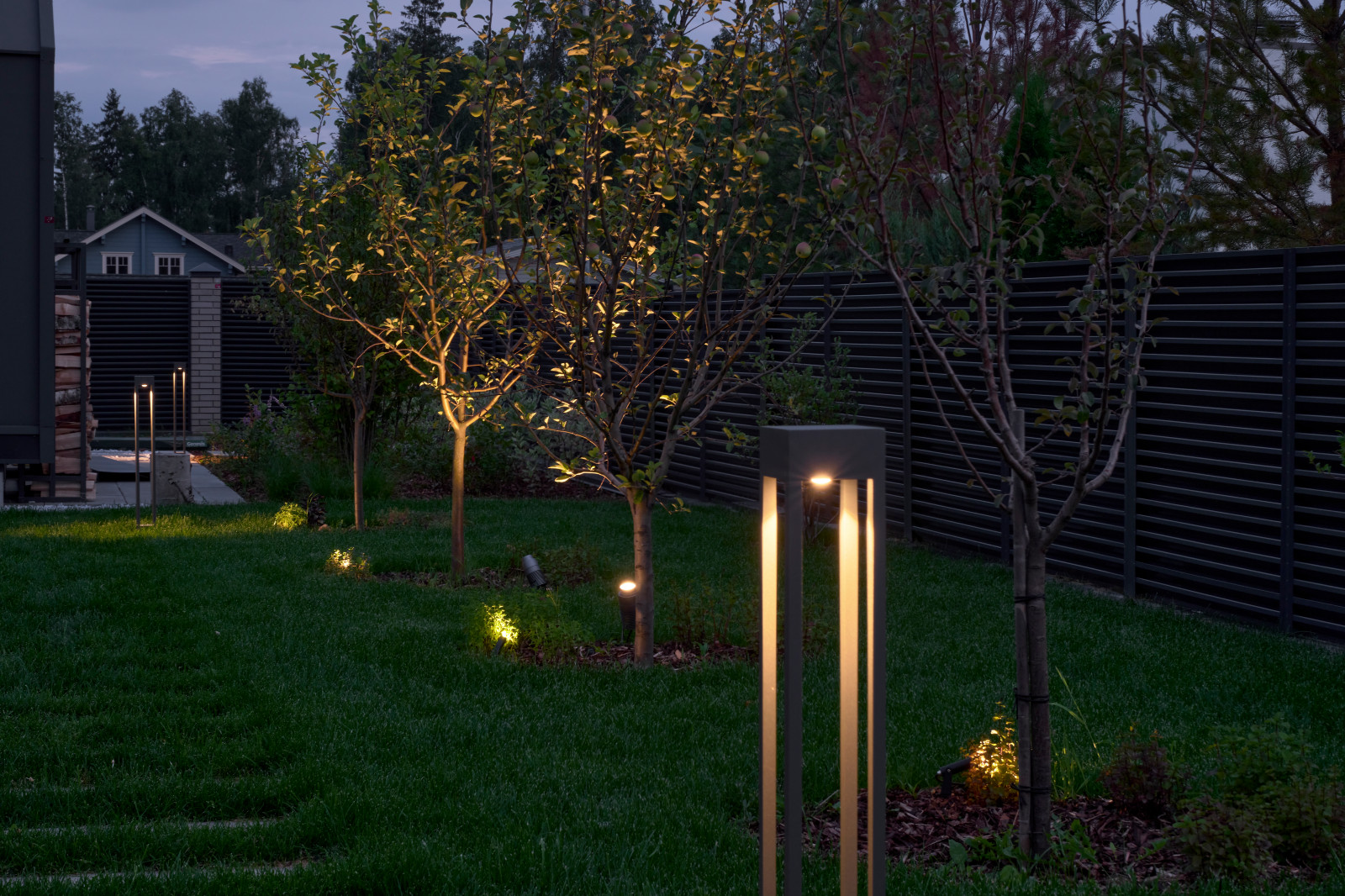 Репино парк