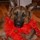 grace_garrigan