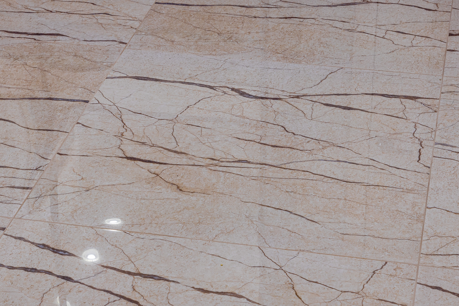 "Палитра тишины"