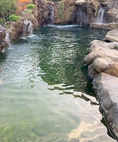 Natural Swimming Pool with Waterfalls and Live Fish