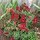 linda_parker9361726