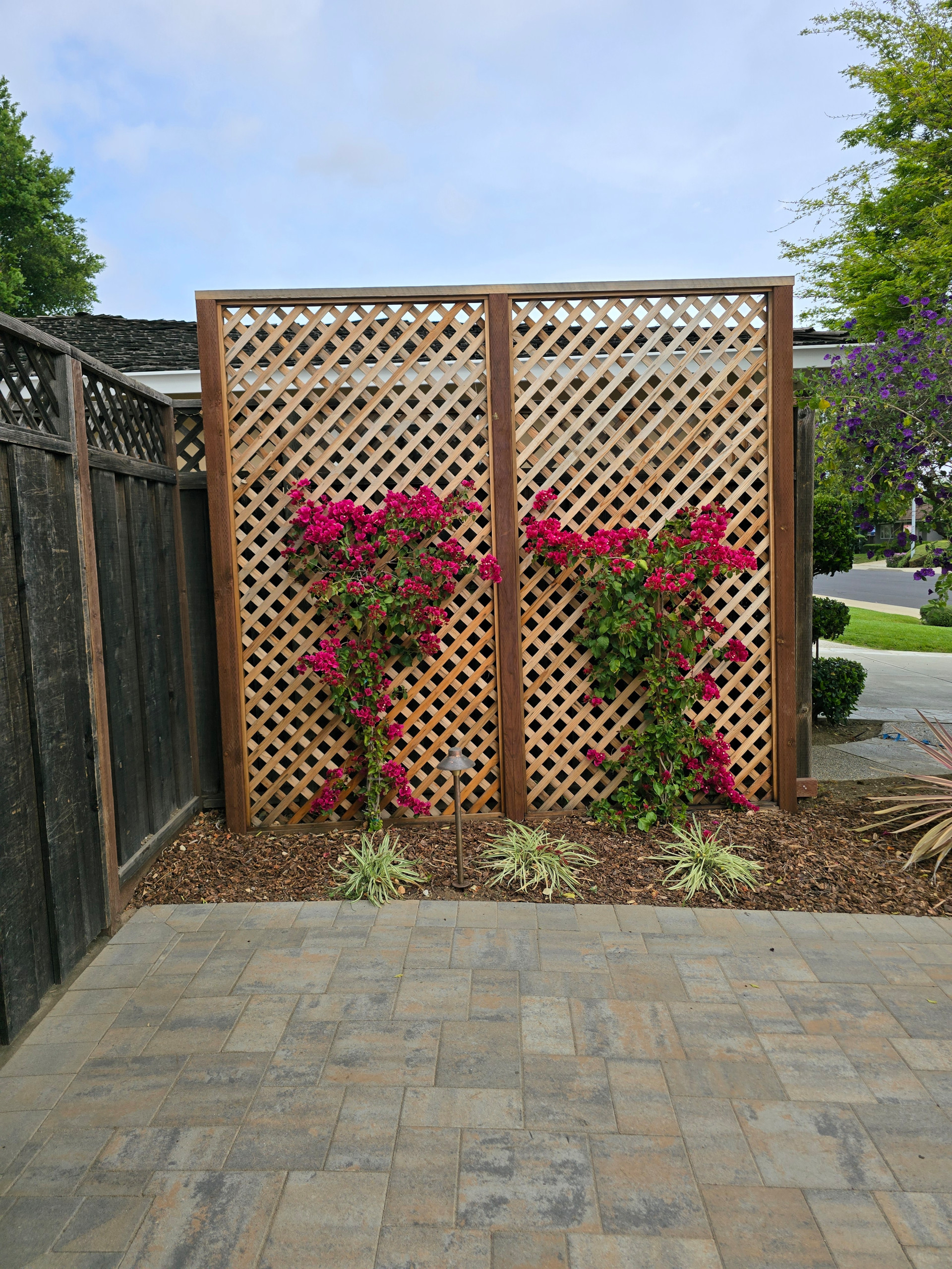 Front Yard Landscapes