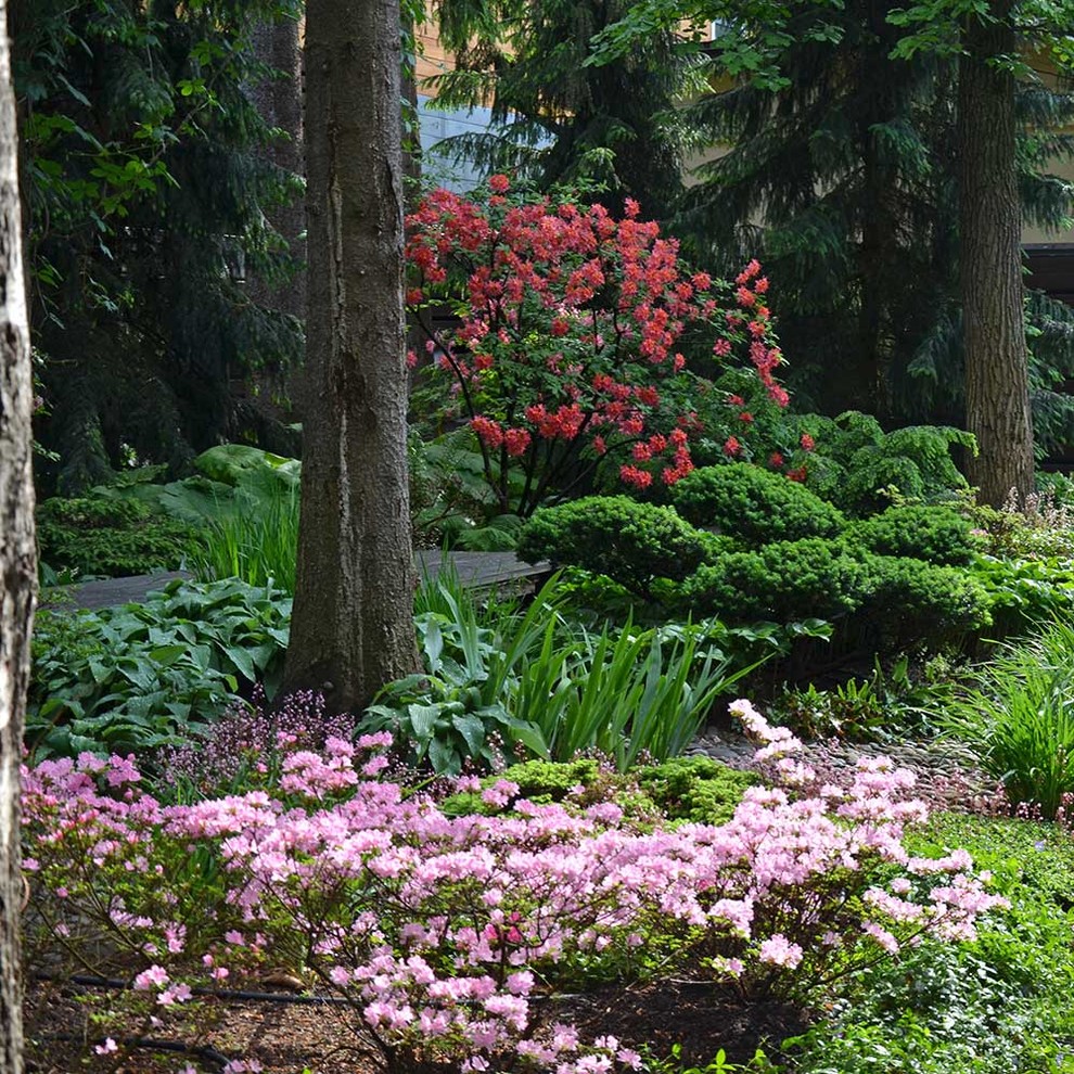 Японский сад в КП Ландшафт