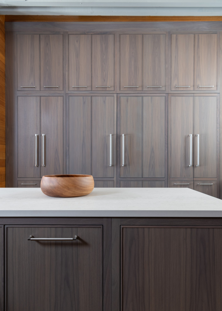 Kitchen - transitional kitchen idea in Dallas