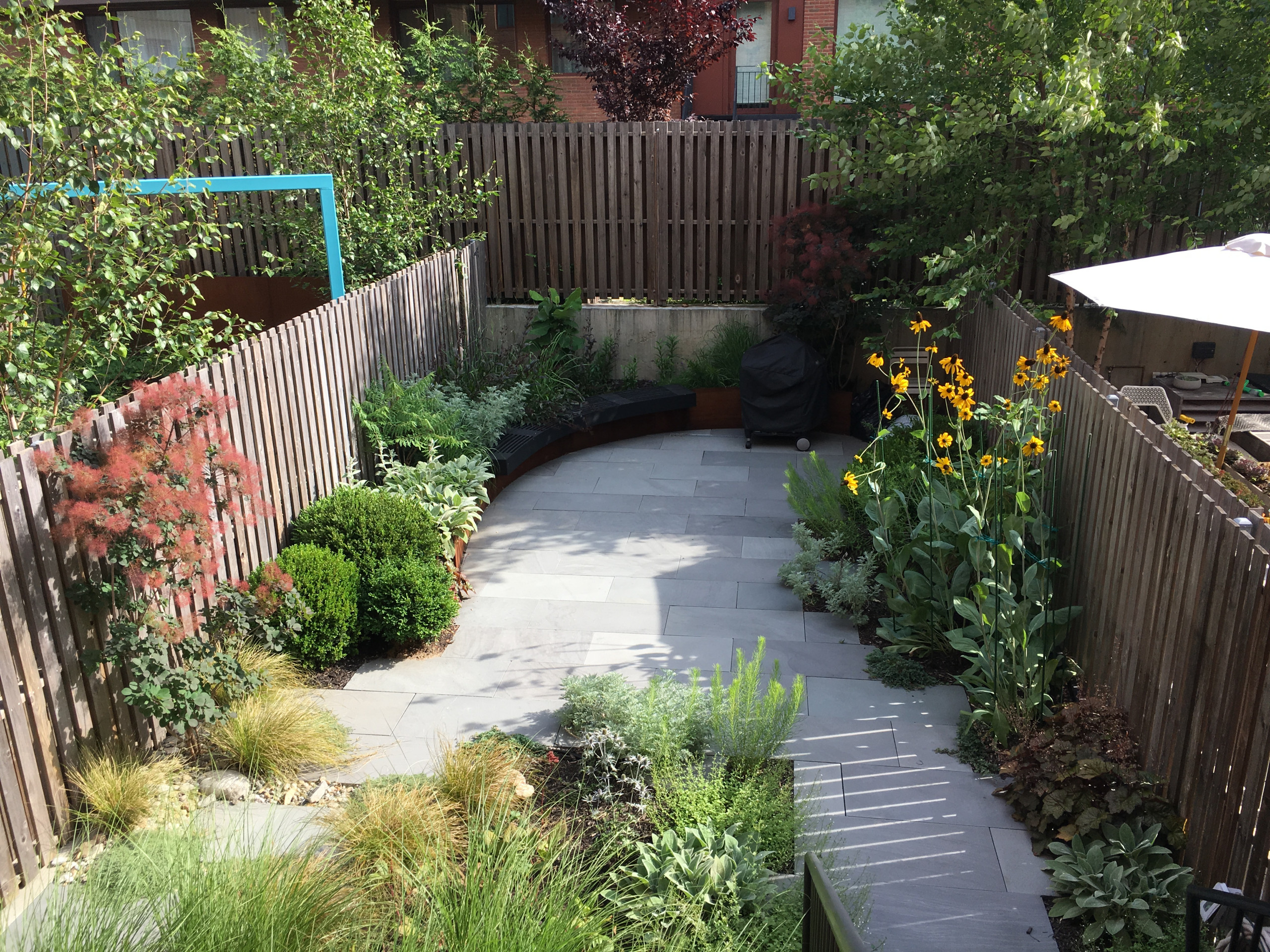 Modern Garden with Curved Corten Border