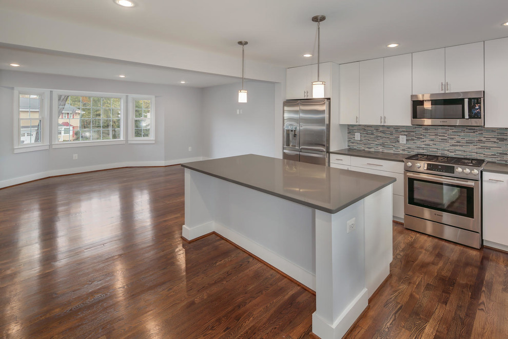 Inspiration for a transitional kitchen remodel in DC Metro