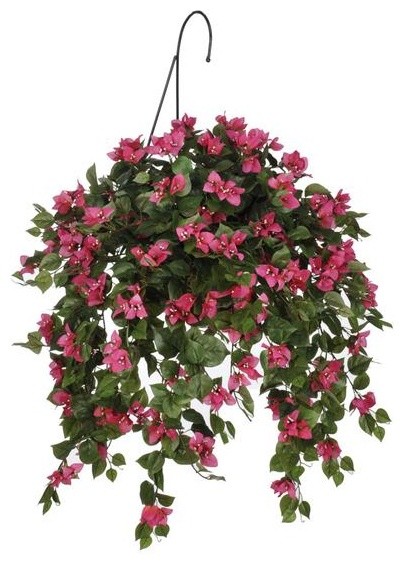 Artificial Mini Bougainvillea Hanging Basket - Contemporary - Artificial  Flower Arrangements - by House of Silk Flowers, Inc | Houzz