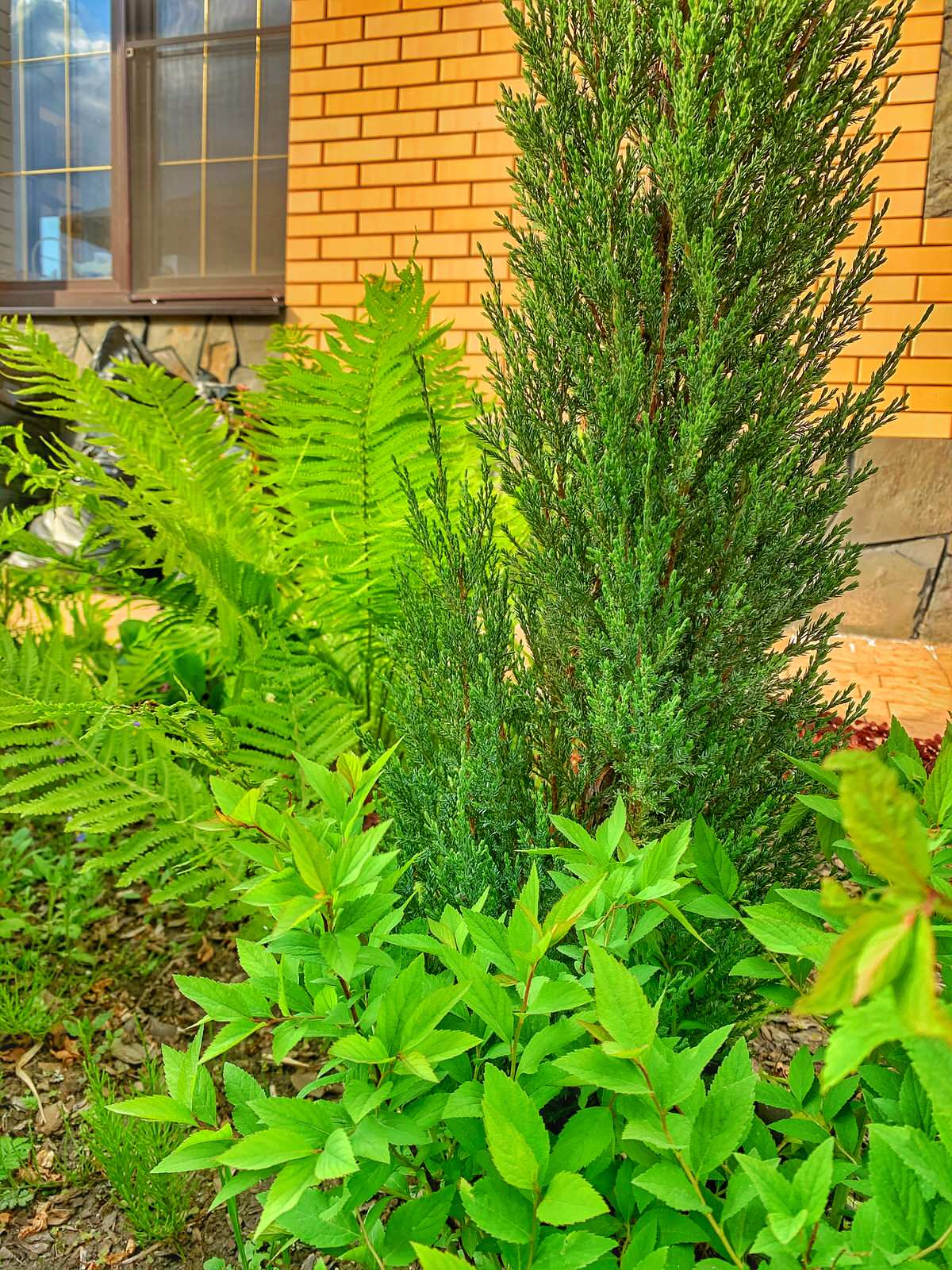 Ландшафтный дизайн в п. Молодёжный (Иркутск)