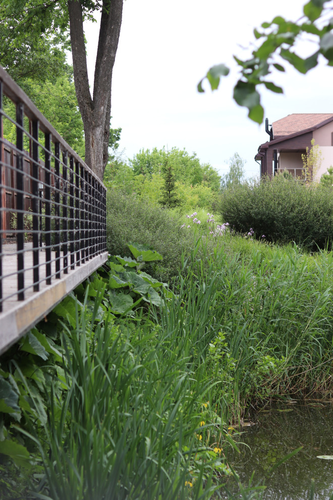 WB Берег пруда (май,июнь)