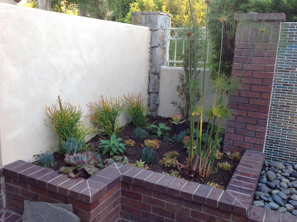 Design ideas for a transitional garden in Orange County.