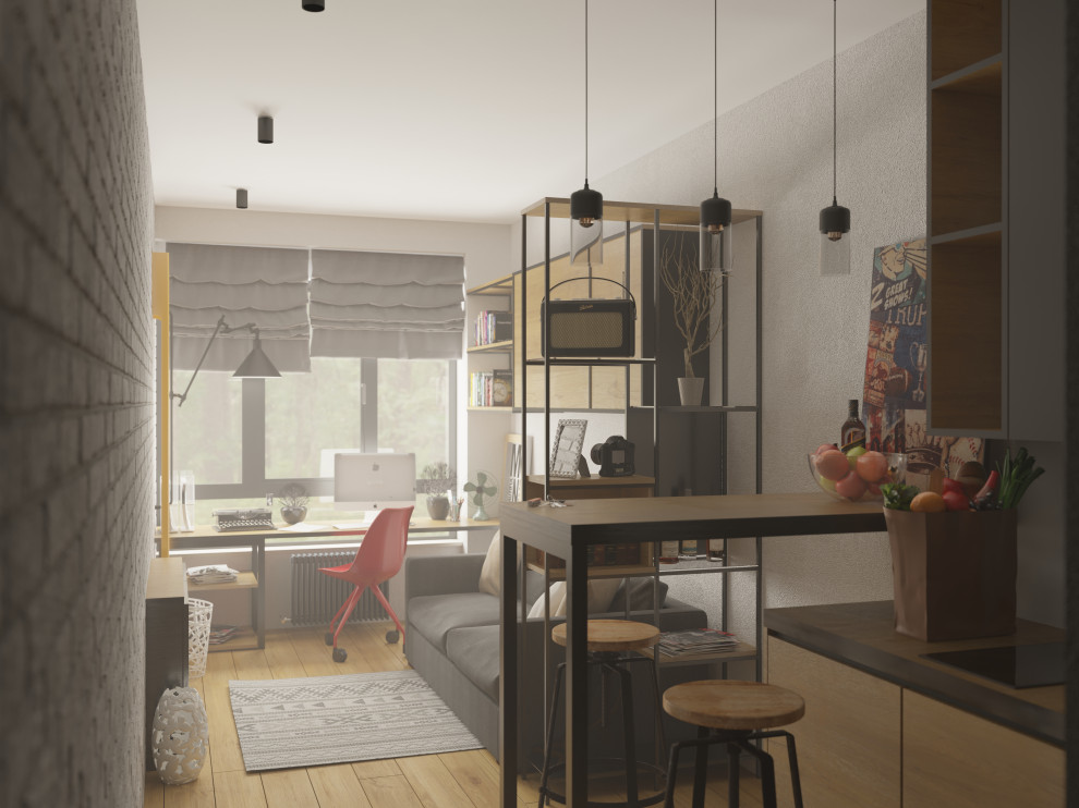 Студия- апартаменты