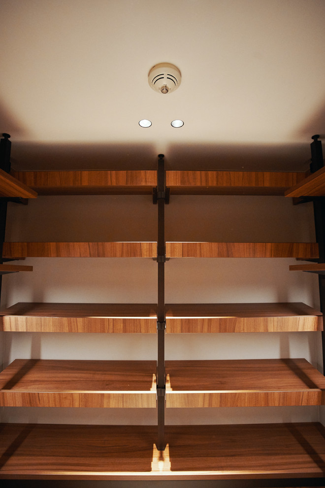 raumplus в интерьере квартиры на Минской, гардеробная UNO коридор