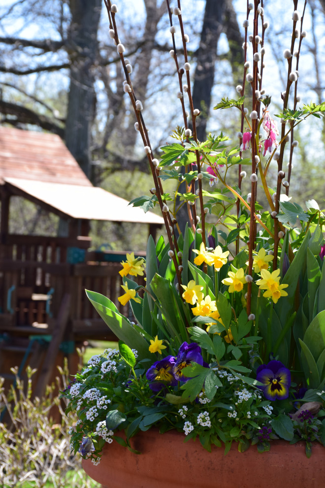 Imagen de jardín en primavera en patio trasero con parterre de flores y exposición parcial al sol