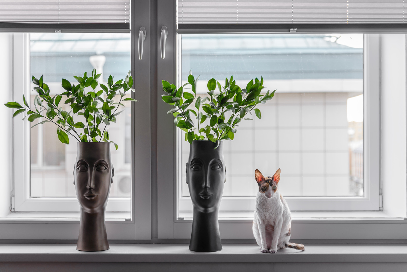 Квартира в центре Новосибирска.