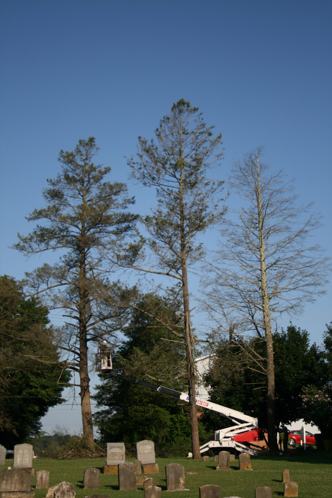 Fawn Grove Cemetery